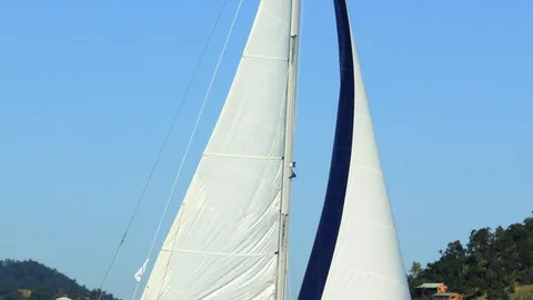 Catalina 350