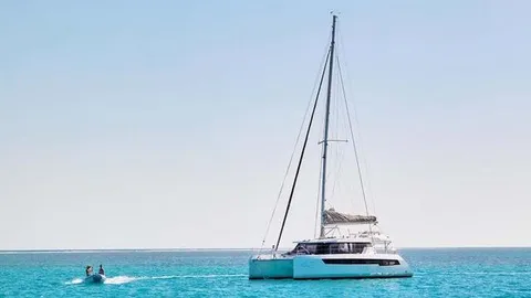 Leopard 42