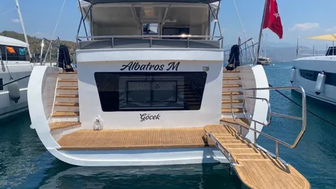 Albatros M