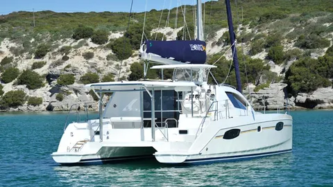 Leopard 39