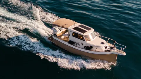 Leidi 660