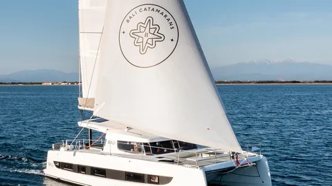 Bali Catsmart