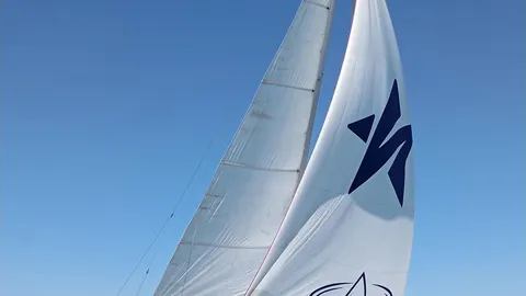 Varianta 44