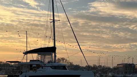 Bali Catspace