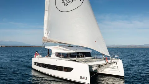 Bali Catsmart