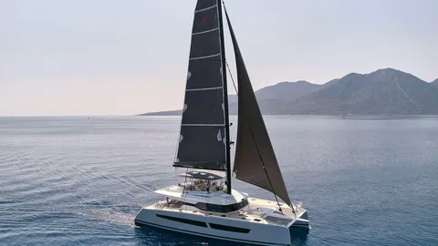 Alegria 67