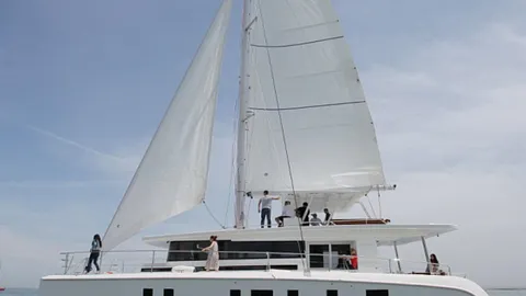 Mazarin 55