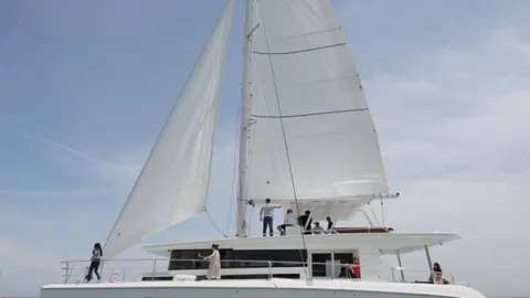 Mazarin 55