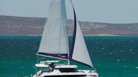 Leopard 42