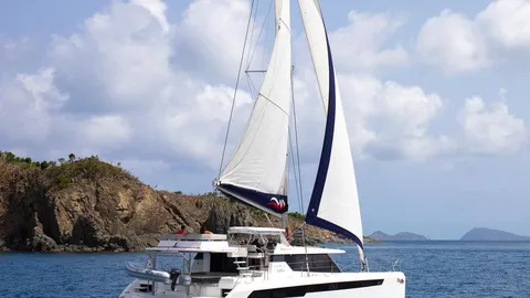 Leopard 50