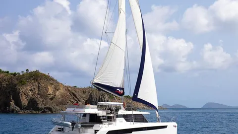 Leopard 50