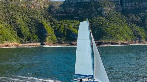 Leopard 46