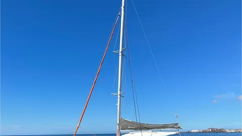 Excess 11