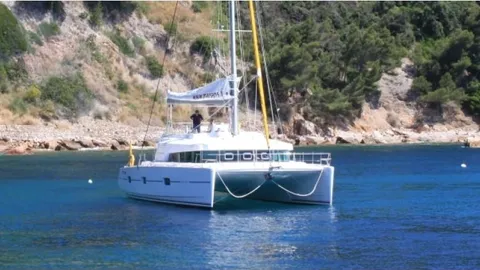 Catlante 600